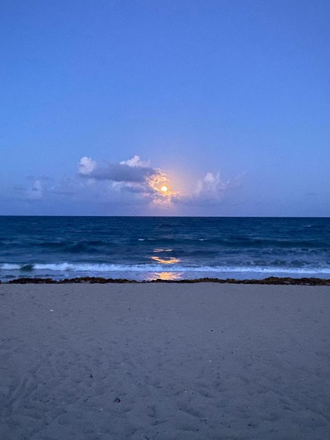 Apartament Cozy Studio near Atlantic Ave w/private patio Delray Beach Zewnętrze zdjęcie